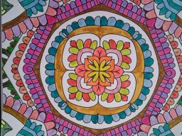 whatsapp image 2026-01-24 at 10.49.33